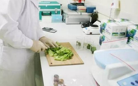 食品重金屬檢測儀，關(guān)注食品安全，防范重金屬危害